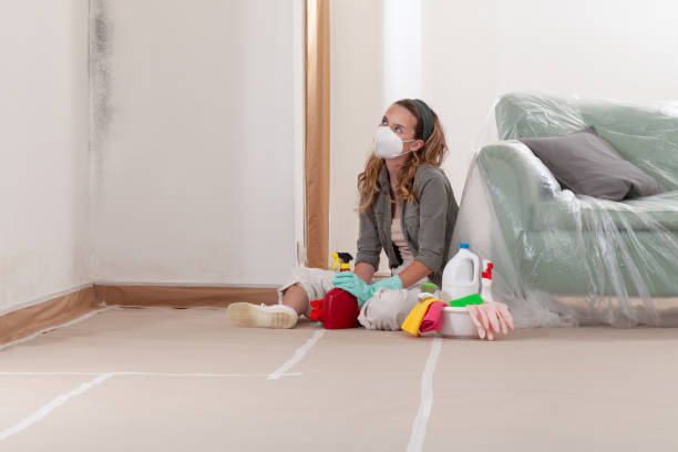 Reliable Commercial Mold Remediation contractor in Edison, NJ by 24 Hour Mold Removal