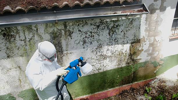 Top rated local Commercial Mold Remediation specialists in Edison, NJ